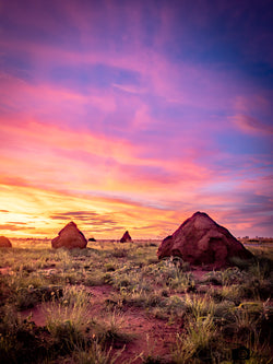 Termite Sunset