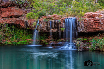Fern Pool